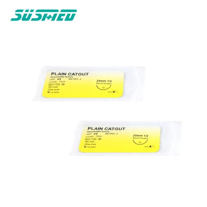 Non-Absorbable Nylon Suture with Needle