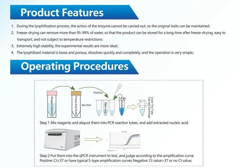 Neisseria Meningitidis Nucleic Acid Detection Kit (Fluorescent PCR)