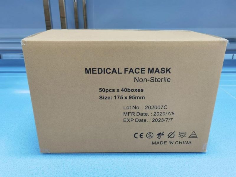 Double Nose Wire Disposable Face Mask Earloop