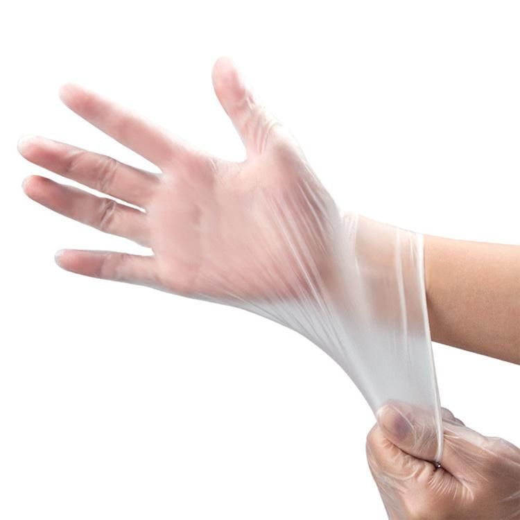 Disposable Vinyl Powdered and Powder Free PVC Glove