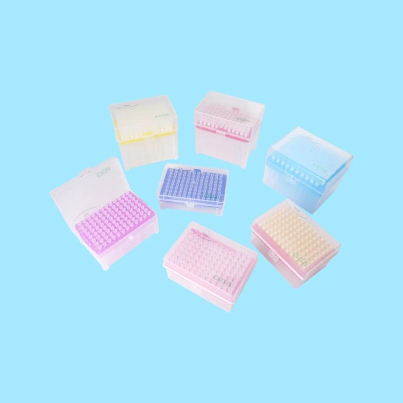 Medical Disposable 10UL 100UL 200UL 1000UL Sterile DNA Rna Pipette Filter Tips for Laboratory PCR Test