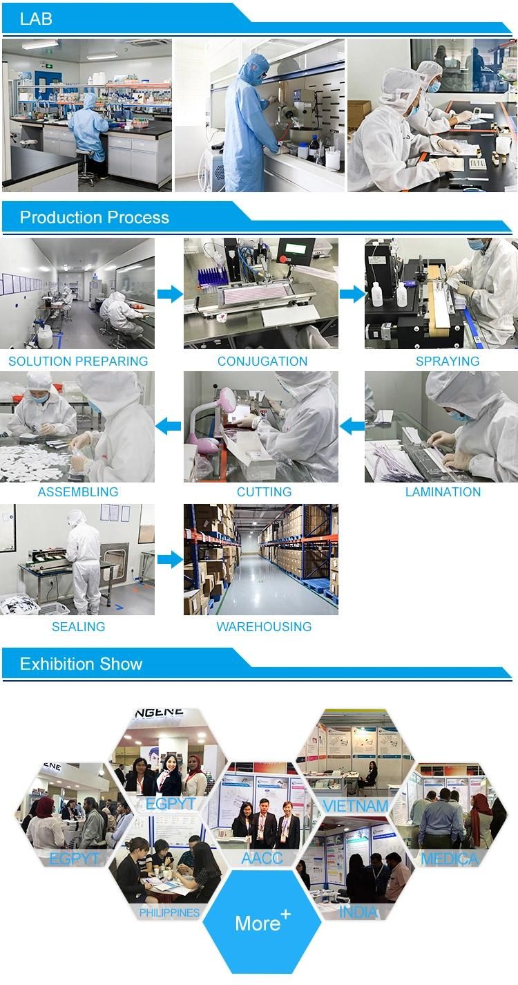 One Step Rapid Diagnostic Colloidal Gold Testing Blood Test Kit