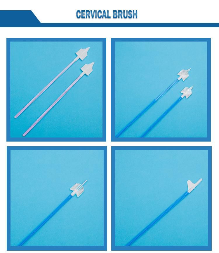 Medical Gynecological Diagnostic Test Swab Cervical Brush for Women Examination