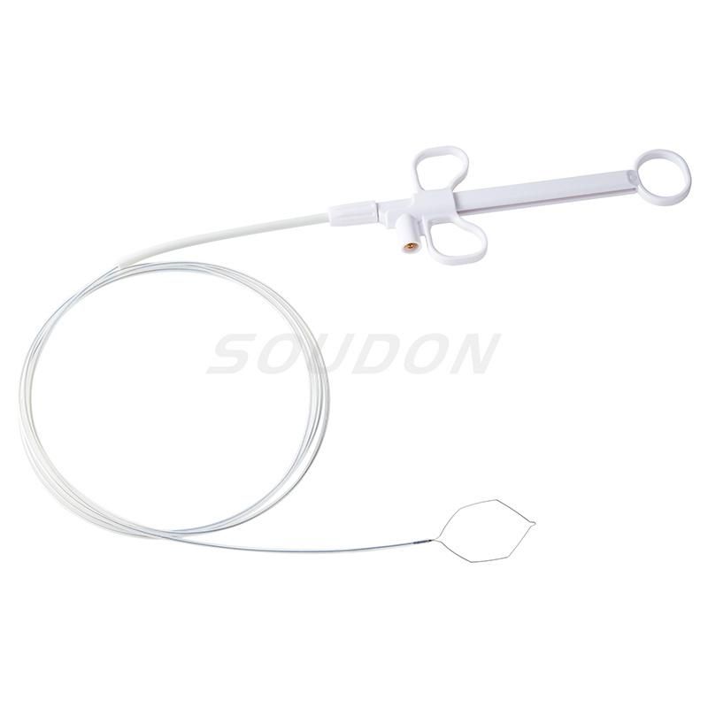 Disposable Electric Polypectomy Snare for Gi Endoscopy in Various Shapes Customized Design Acceptable