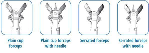 Customized PE Coated Disposable Biopsy Forceps with Alligator Cup and Needle Type Good Quality Low Price