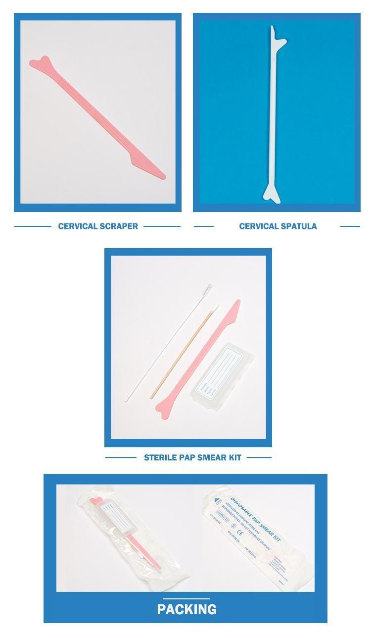 High Quality Disposable Medical Cervical Brush Approval CE and ISO