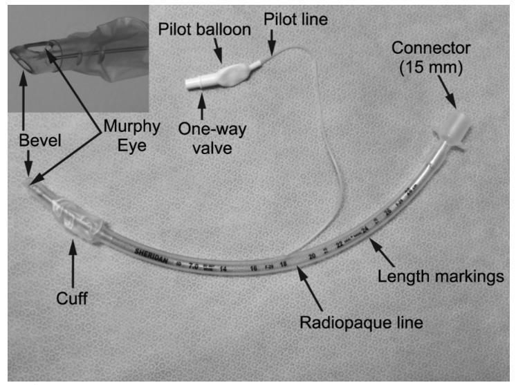 Armored Reinforced Endotracheal Tube Without Cuff Flexible Soft Tip