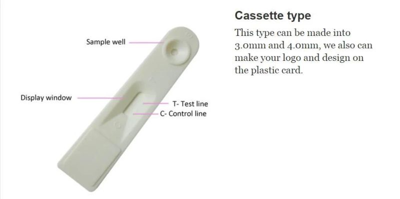 Test Pregnancy Test Strip Pregnancy Card