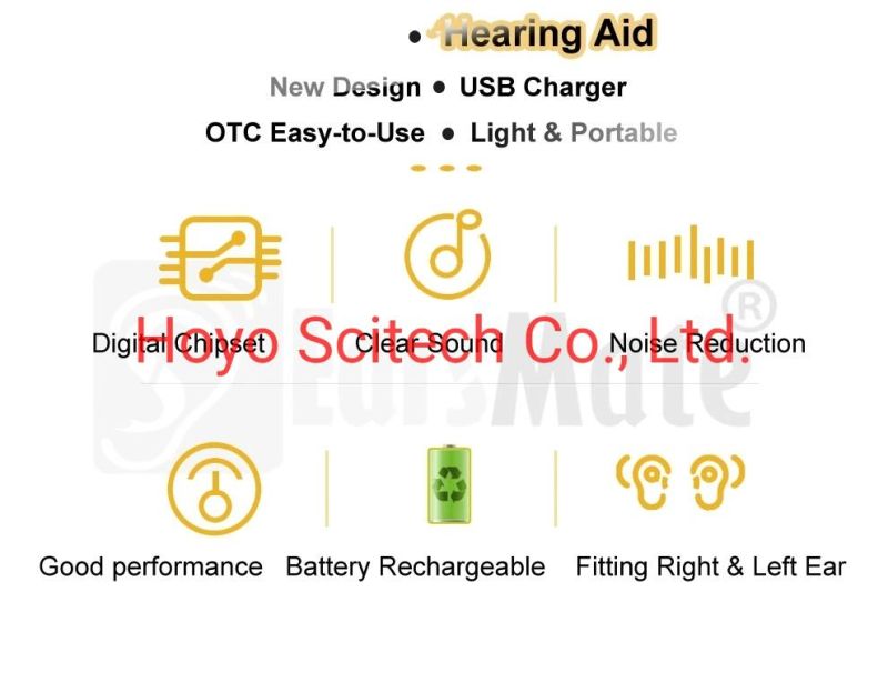 Rechargeable Digital Hearing Aid Programmable Digital Inner Ear Hearing Aids Mini Hearing Aid