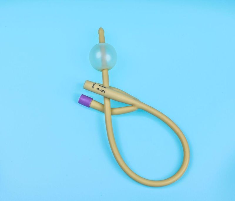 Medical Disposable Latex/PVC Urethral Catheter Foley Catheter Urethral Probe with Manufacturer Price