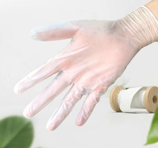 Professional White Available PVC Protective Gloves Powder Free Medical Examination Gloves