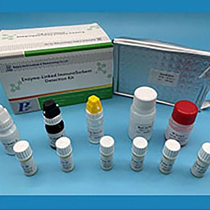 Meidical Supplies Torch-Igg/Igm Cmv /Rubella / Toxoplasma / Herpes (4 in 1) Rapid Test Cassette Clinical Lab Elisa Reagent