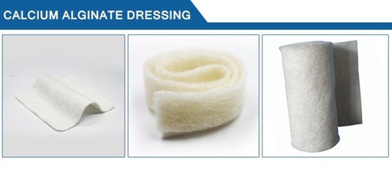 Foam Wound Dressing/Dressings Non Adhesive and B Care Foam Dressing/Foam Dressing Woind