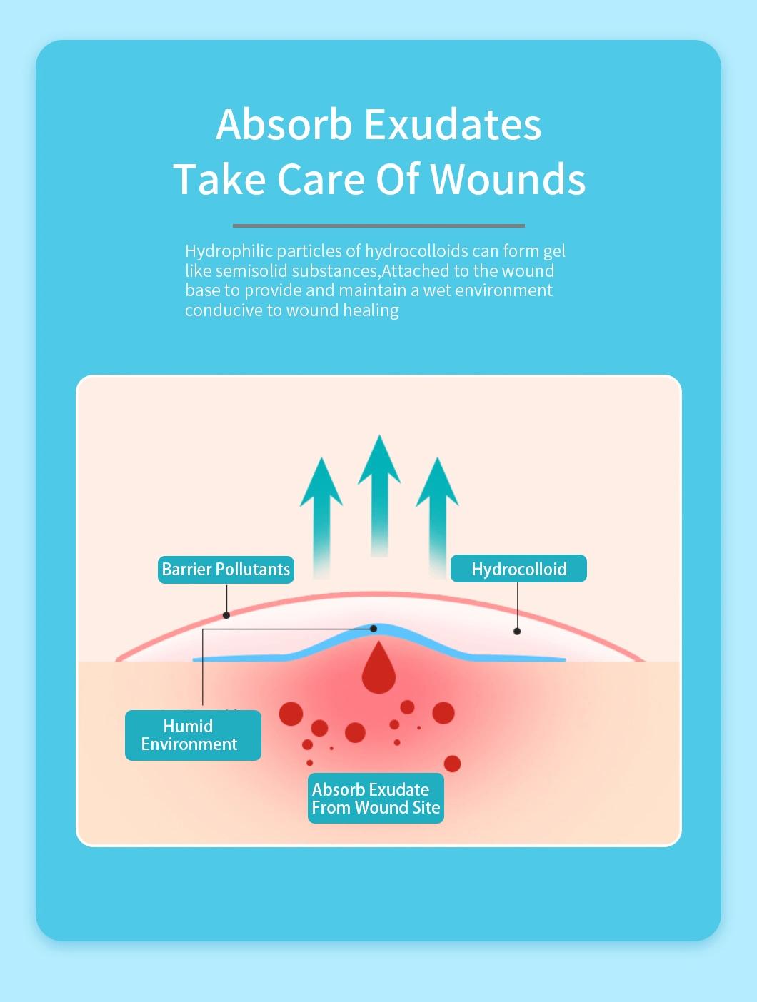 Oval Hydrocolloid Dressing Wound