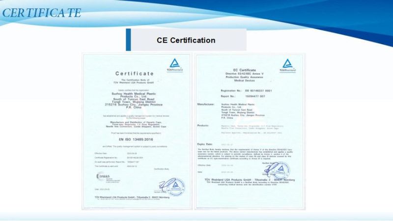 Double Scale I. V Flow Regulations From Suzhou