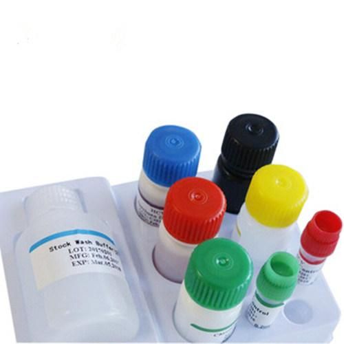 Bowl Cancer Test Kit/Cea Test Kits/Prostate Cancer Test Kit