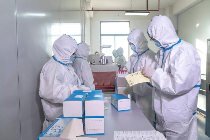 Brazil Anvisa Approved Runmei PCR Swab Rapid Test Kits Sampling Collection Kit Diagnostic Test for Latin America