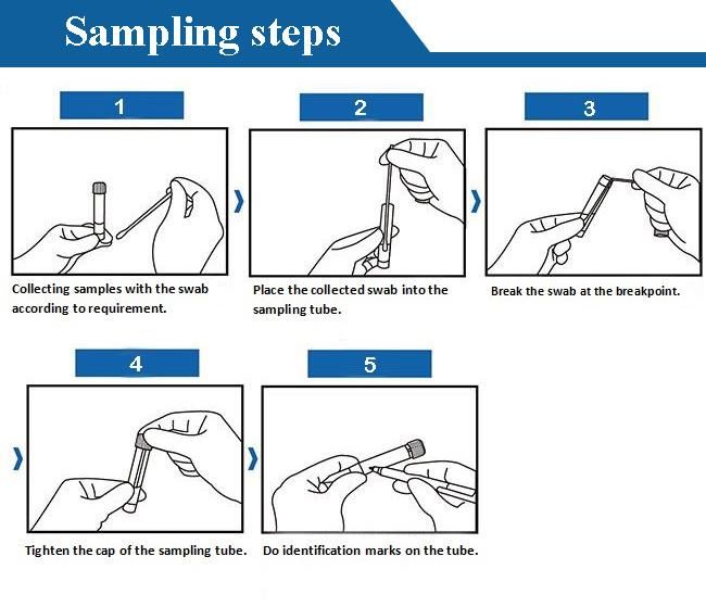 Disposable Virus/Viral Sampling Swab with 3ml Viral Transport Medium Tubes