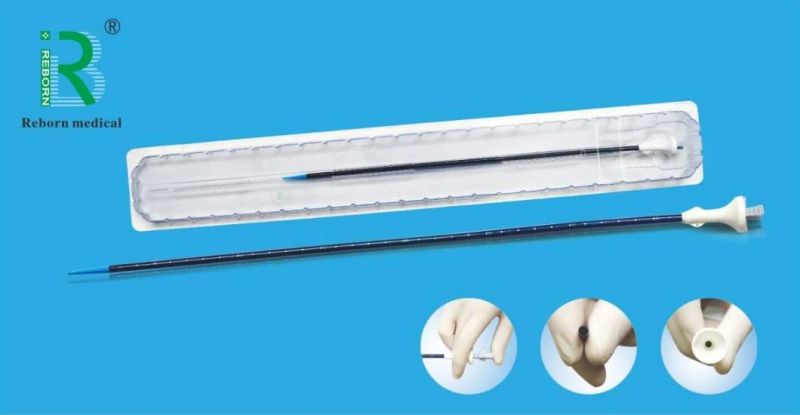 Medical Endoscope Catheter Sheath Ureteral Access Sheath