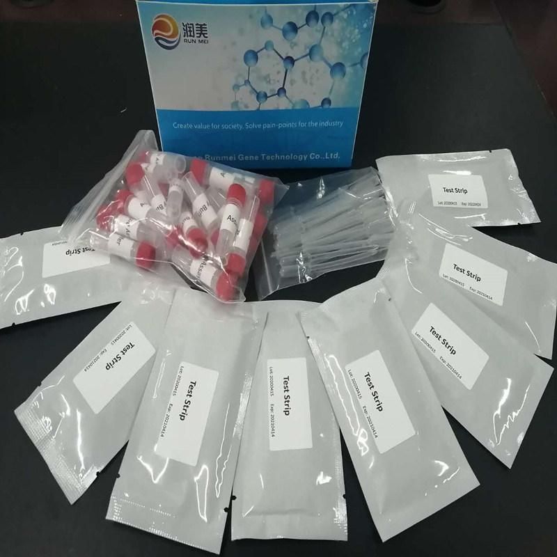 Individual Colloidal Gold Antibody Ab Igg/Igm Virus Home Test Diagnostic Rapid Test Kit, Virus PCR Detection Test Kit Diagnostic Nucleic Acid Test Kit