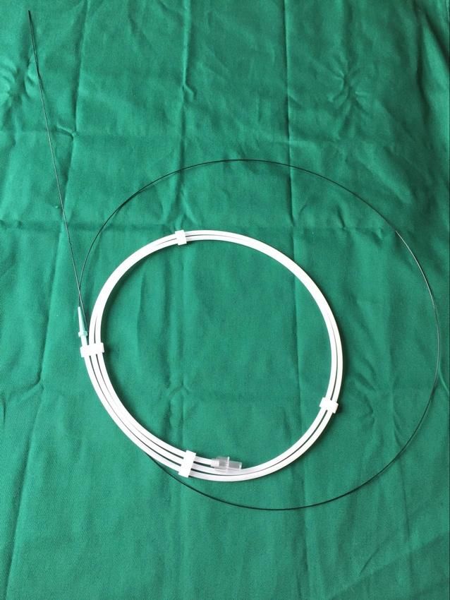 Urology Wire Guide Hydrophilic Coated Guidewire