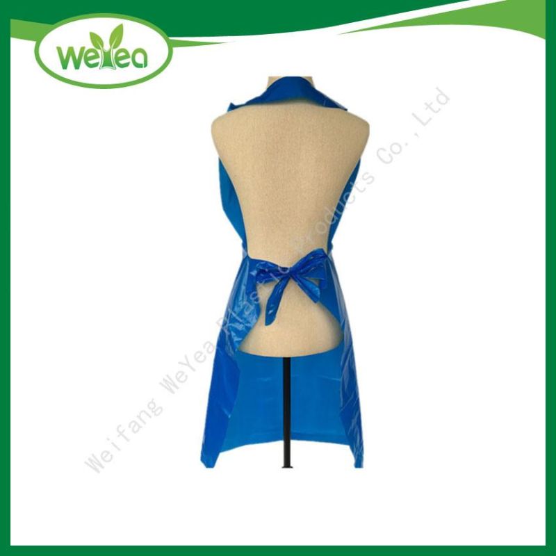 Disposable Cheap Colorful PE Apron for Education with SGS Certificate