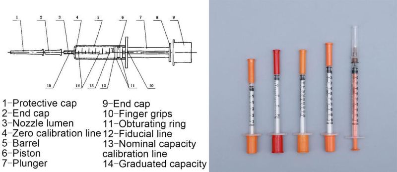 Insulin Syringe with Various Size U100 U50 U40 U30