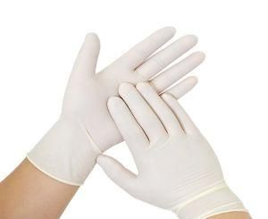 Surgical Gloves