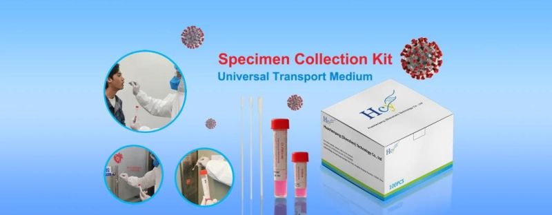 Vtm & Utm Sampling Kit with Nasopharyngeal Throat Swab