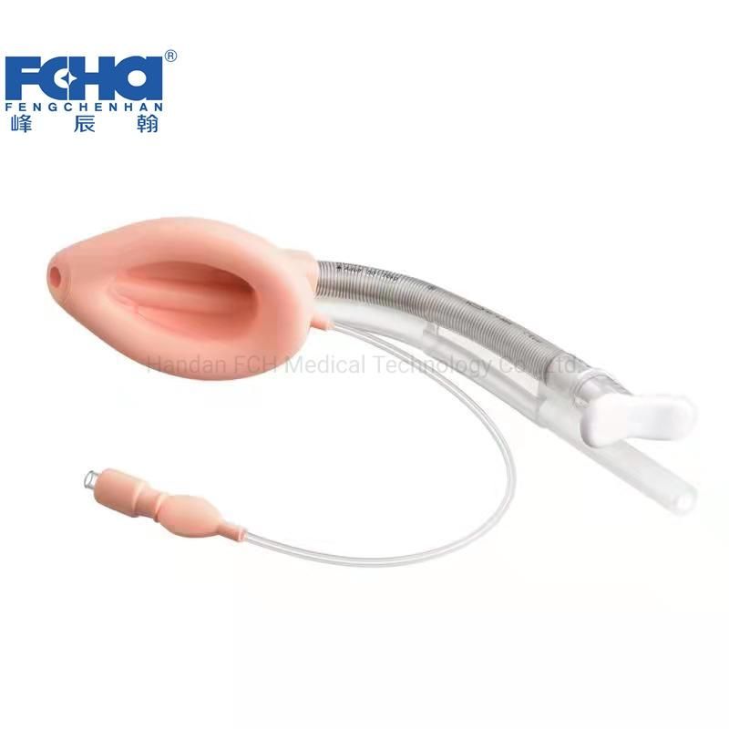 Larygeal Mask Airway