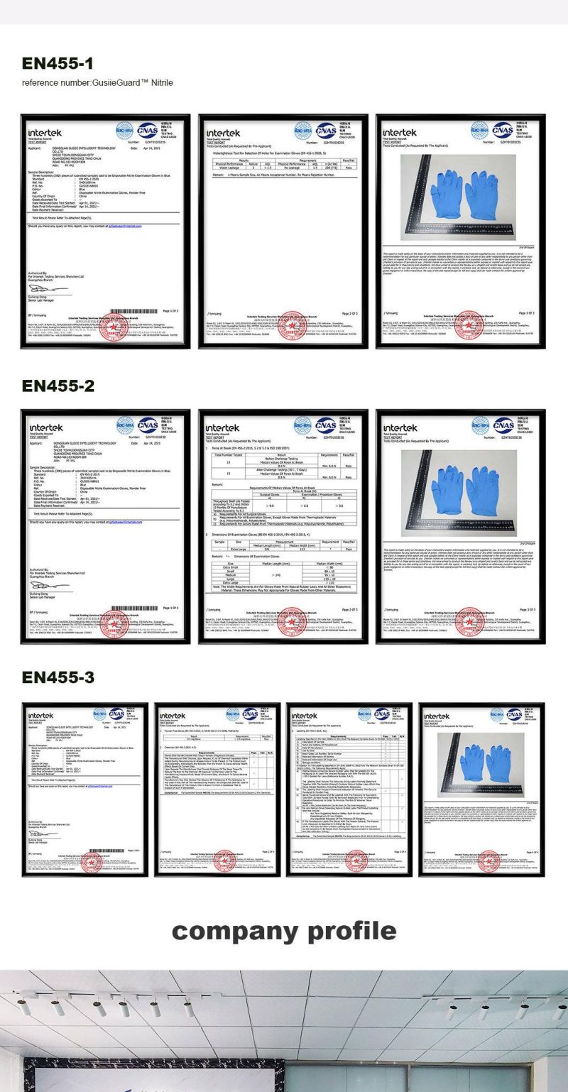 Examination Factory with CE and FDA in Stock Nitrile Glove