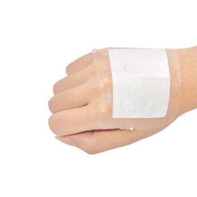 China Factory Sterile Tranparent PU Film Island Wound Dressing