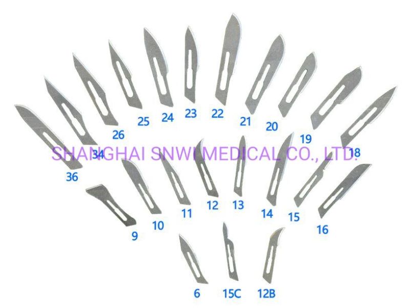 CE&ISO13485 Approved Disposable Carbon Steel Stainless Steel Surgical Blade/Scalpel with Plastic Handle