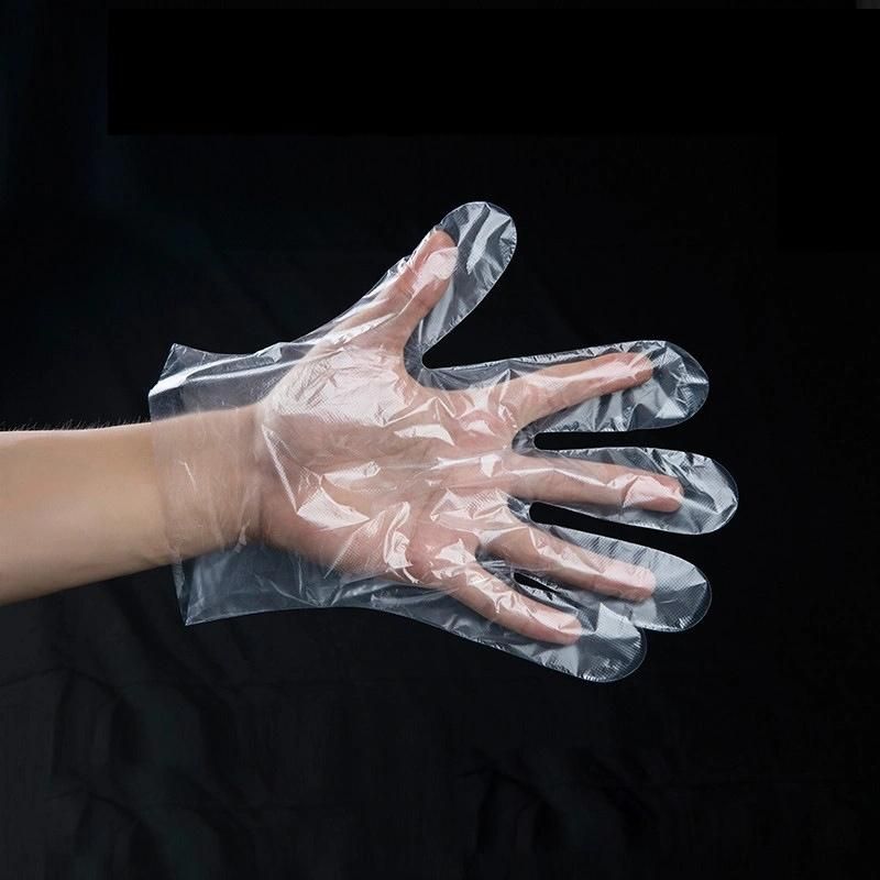 Disposable PE Household Food Grade Processing Industry Eco-Friendly Gloves