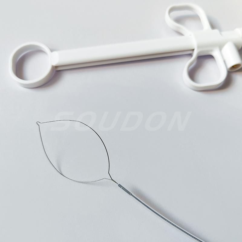 CE Marked Disposable Endoscope Accessory Polypectomy Snare Manufacturer Wholse Price China Factory