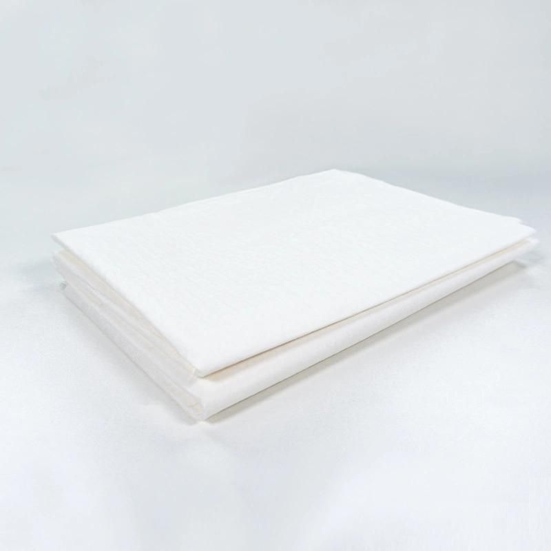 Custom Medical Disposable Pillow Case Pillowcover with CE for Dental Low Price