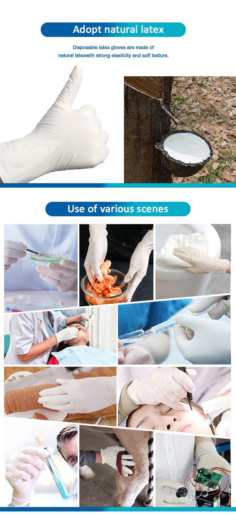 Best Quality Hot Sale Safety Disposable Blue Work Examination Latex/ Gloves