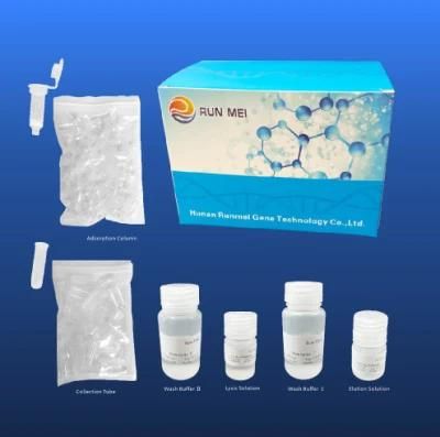 Virus and Variants Nucleic Acid Detection Kit Fluorescence Rt-PCR Method