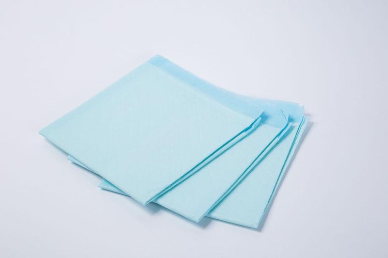 2021 Most Popular Factory Price Private Label Laminated Blue Adult Disposable Underpad for Security & Protection