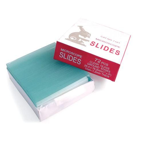 Prepared Microcope Slides/Microscope Slides/Prepared Slides