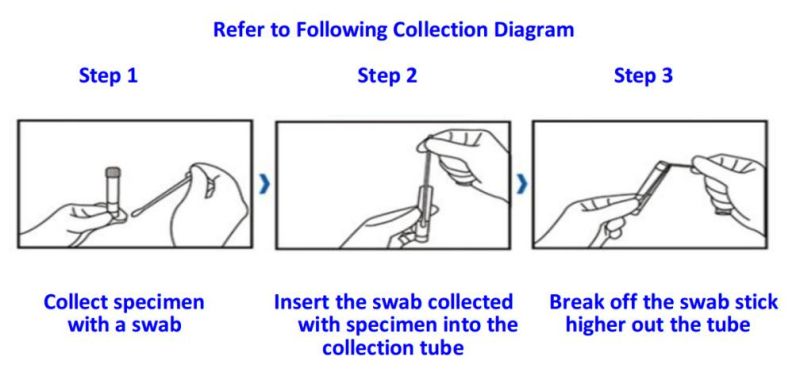 Disposable Viral Transport Medium Tube with Swab Collection Kit