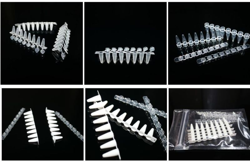 Biobase 0.1ml Single PCR Tube 0.2ml PCR Tube 8-Strip Transparent PCR Tube