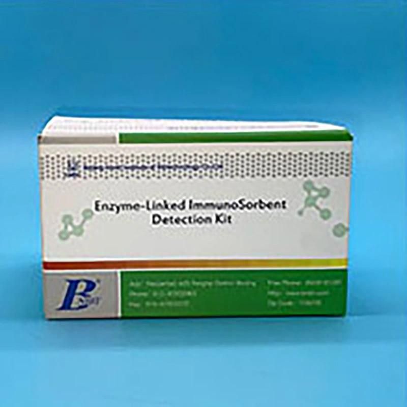 97.1% Sensitivity Hev Igm Elisa Test Kit for Virus DNA and Rna