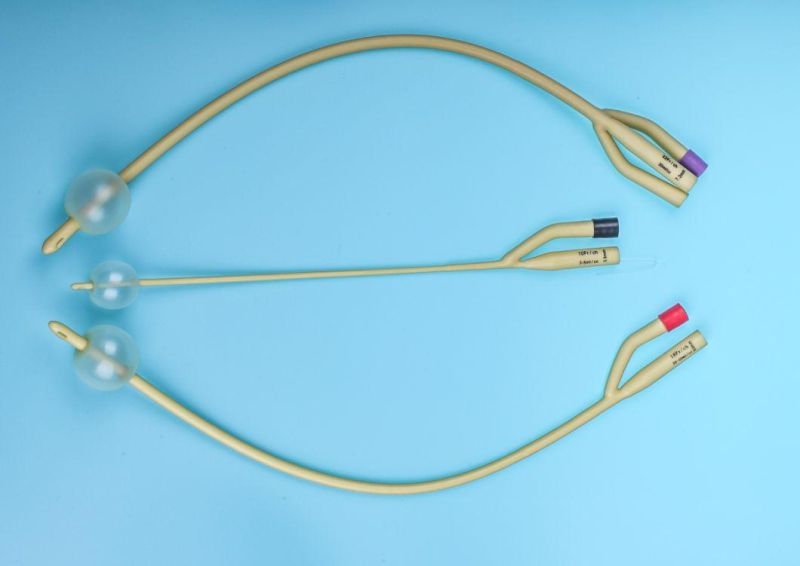 Medical Disposable Latex/PVC Urethral Catheter Foley Catheter Urethral Probe with Manufacturer Price