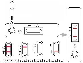 Self Diagnostic Human Being Use H. Pylori Test Kit Device