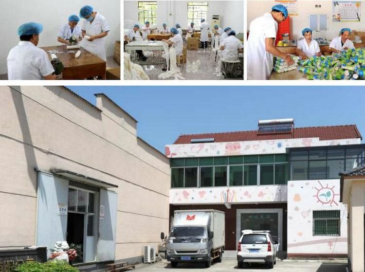 HD818 Medical High Quality Pop Plaster of Paris Bandage Factory