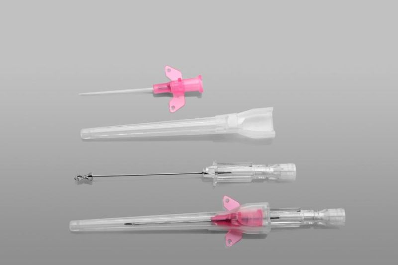 Medical Safety 14G 16g 18g 20g 22g 24G I. V. Cannula with Wings and Injection Port