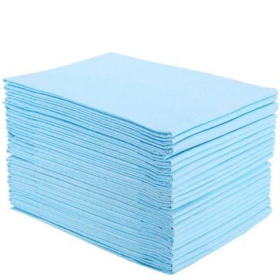 Manufacturer Hot Sale Blue Absorbency Disposable Incontinence Underpad for Hospital
