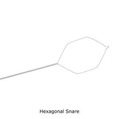 Endoscopic Accessories ESD or Emr Use Cold Polypectomy Snares