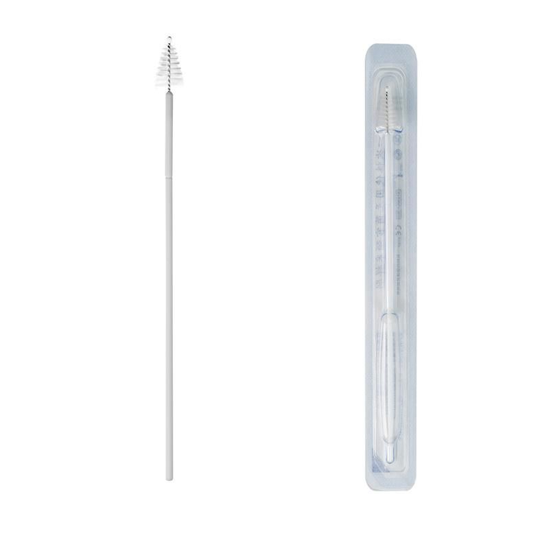 Sterile Nylon Female Vagina Sample Collection Cytobrush Gynecological Disposable Cervical Brush for Hpv Virus